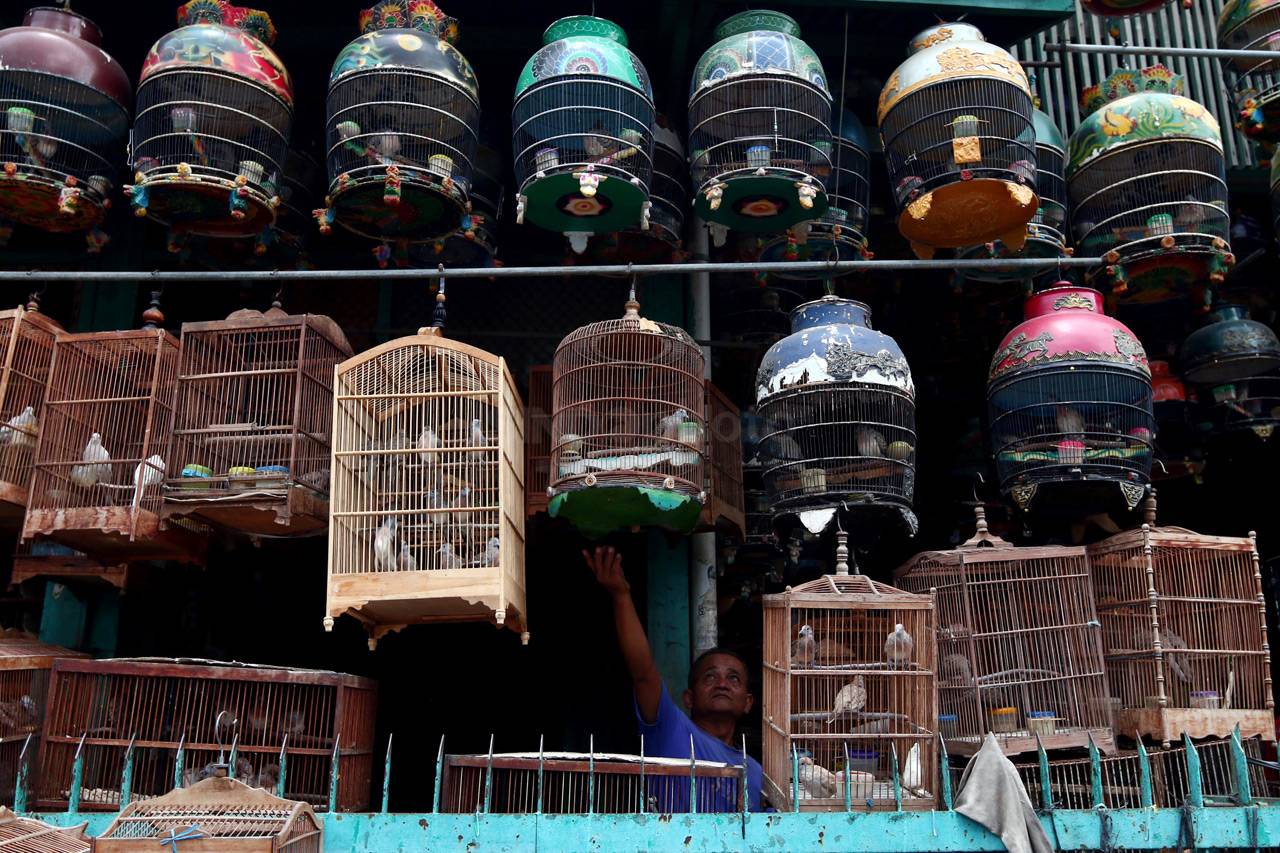 Pasar Burung Pramuka...