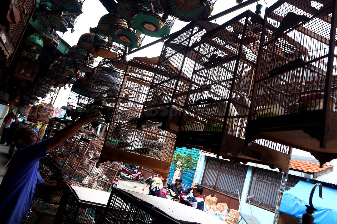 Pasar Burung Pramuka...