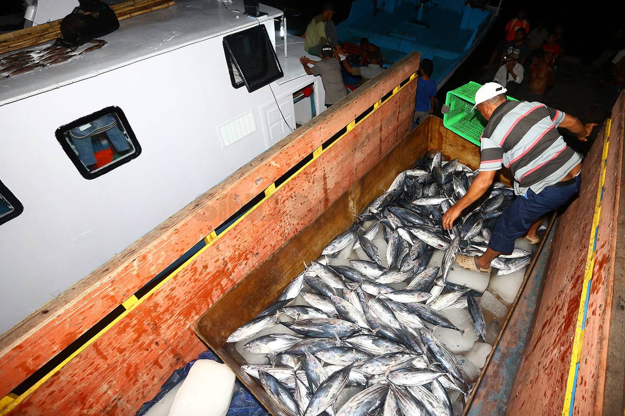 Berburu Tuna di Larantuka