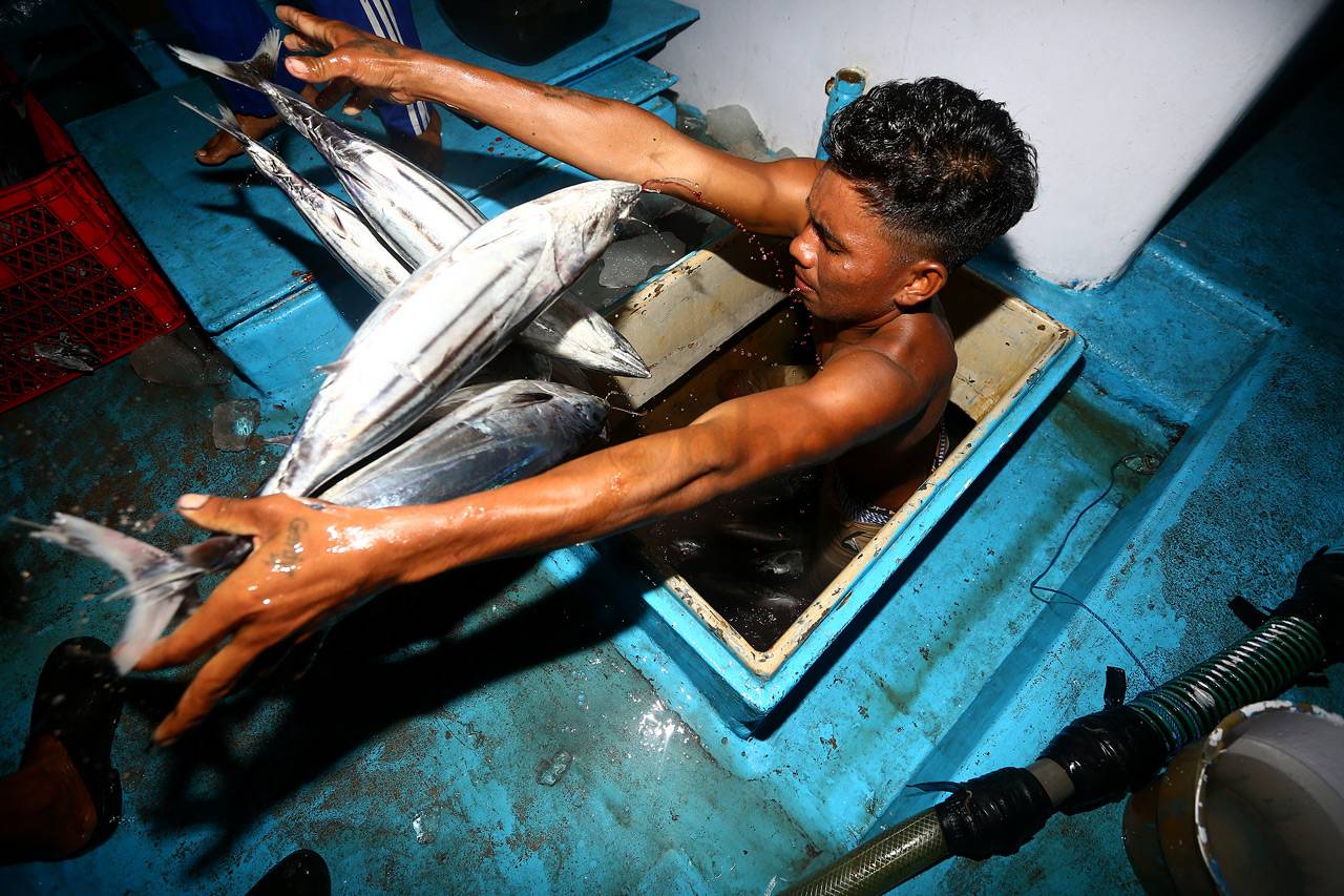 Berburu Tuna di Larantuka
