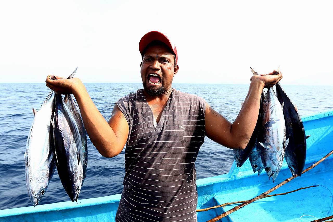 Berburu Tuna di Larantuka