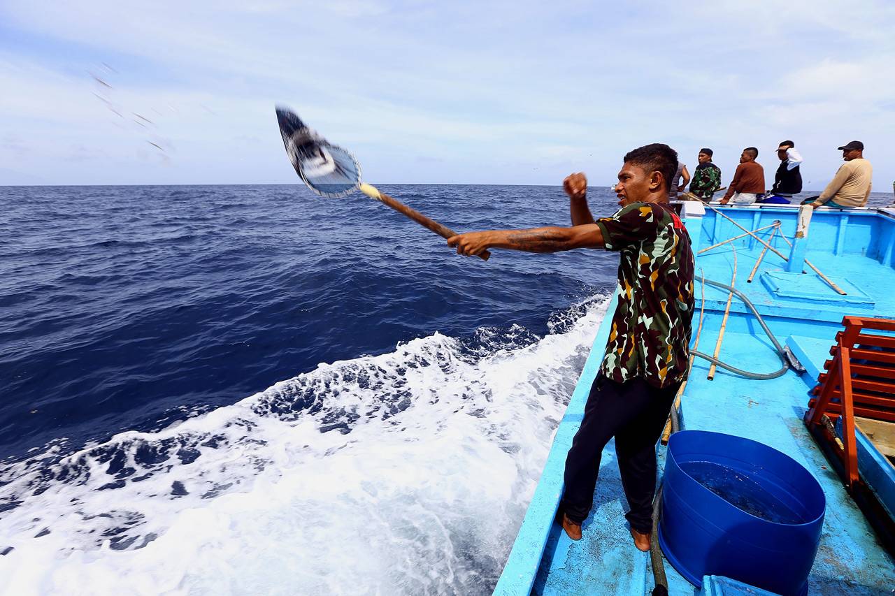 Berburu Tuna di Larantuka