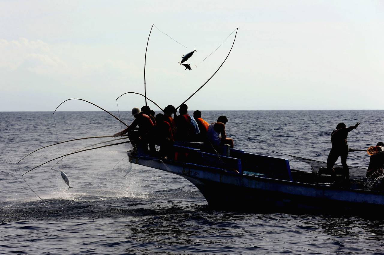 Berburu Tuna di Larantuka