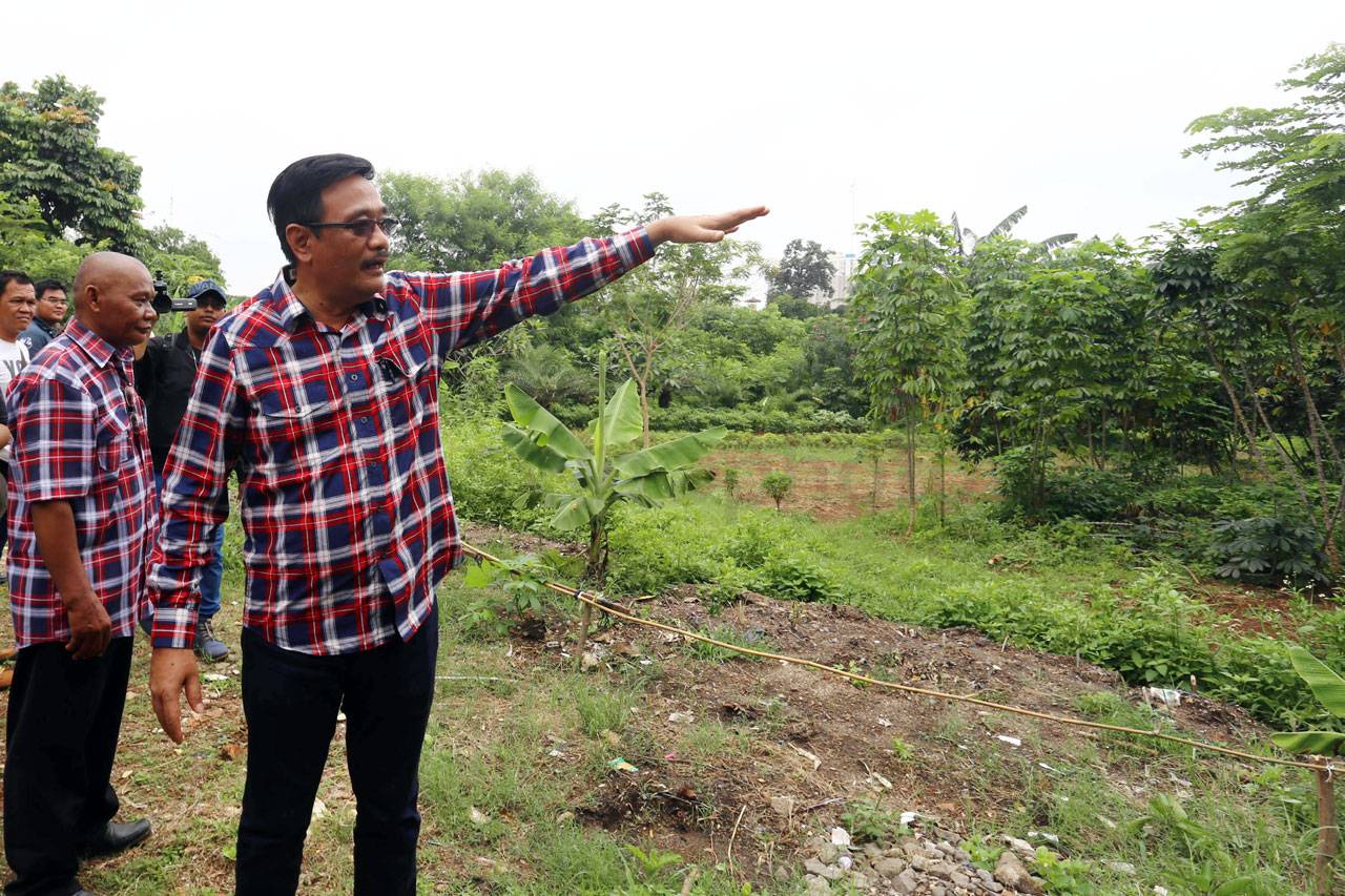 Cawagub Djarot Blusukan...