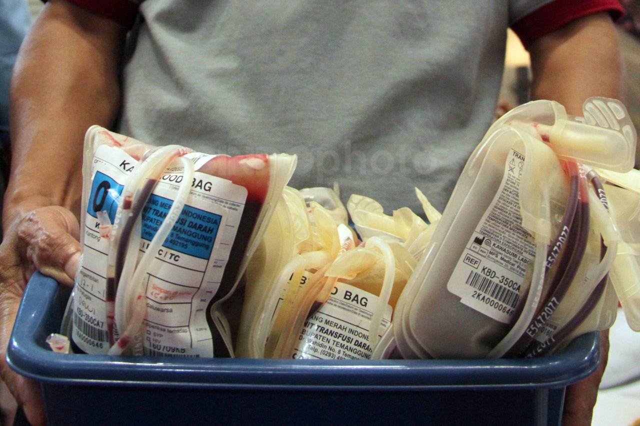 PMI DIY Gelar Donor...