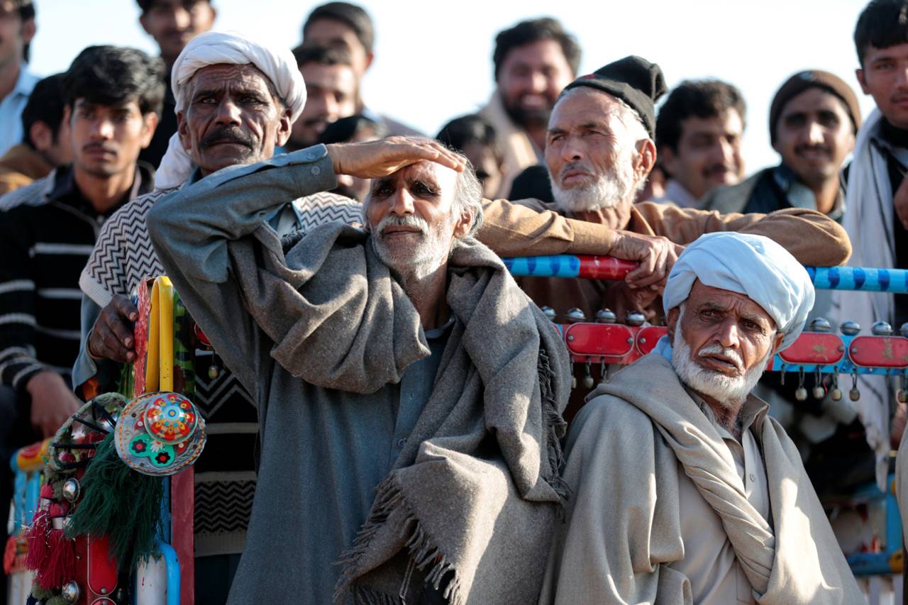 Balapan Sapi di Pakistan
