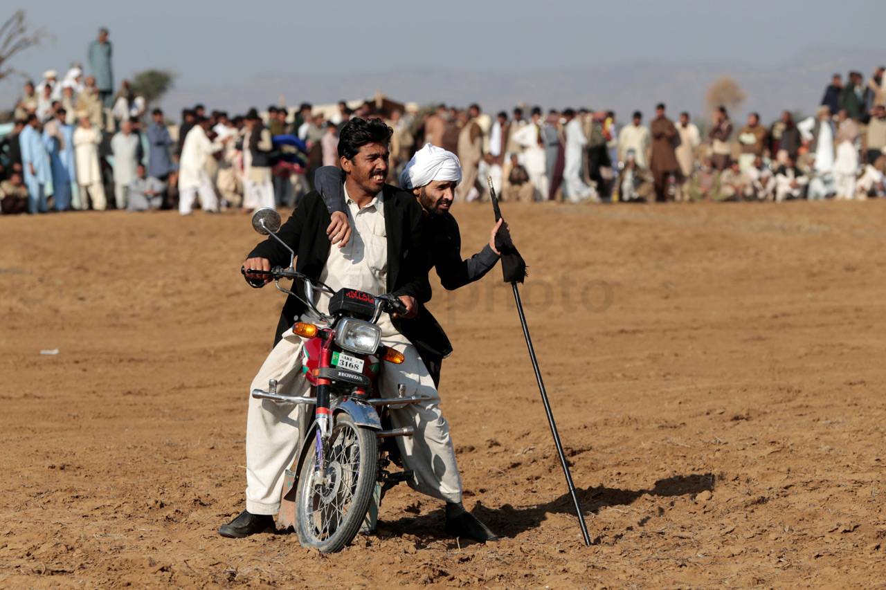Balapan Sapi di Pakistan
