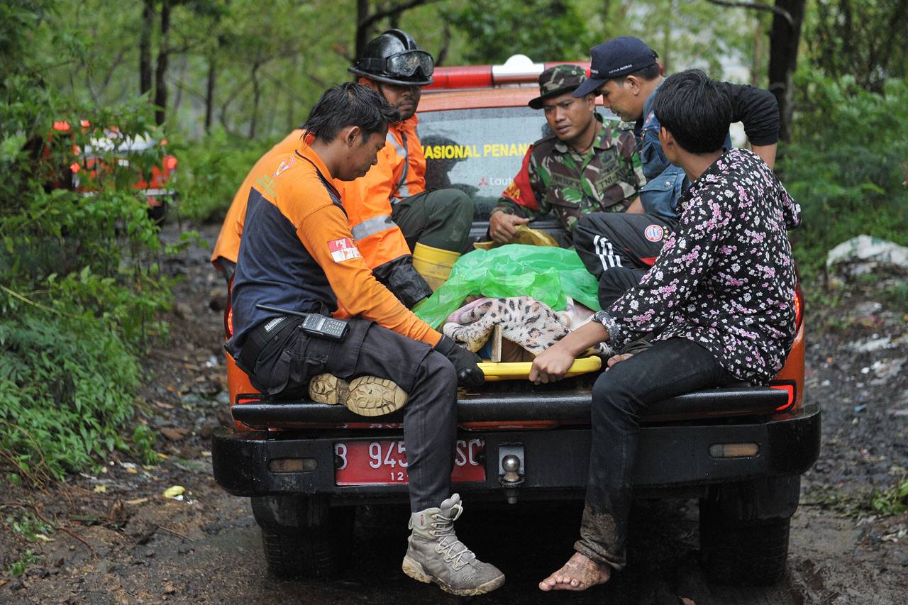 12 Orang Tewas Tertimbun...