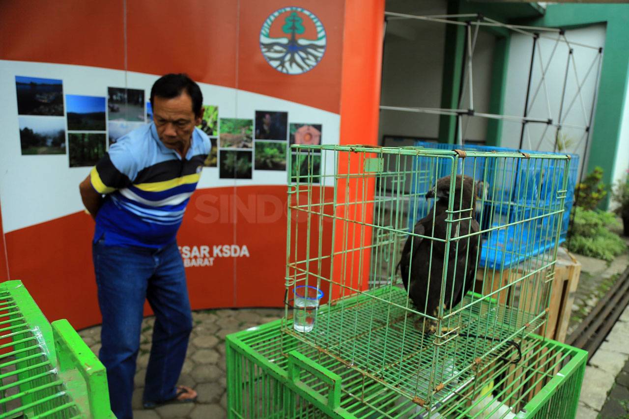 BBKSDA Jabar Serahkan...