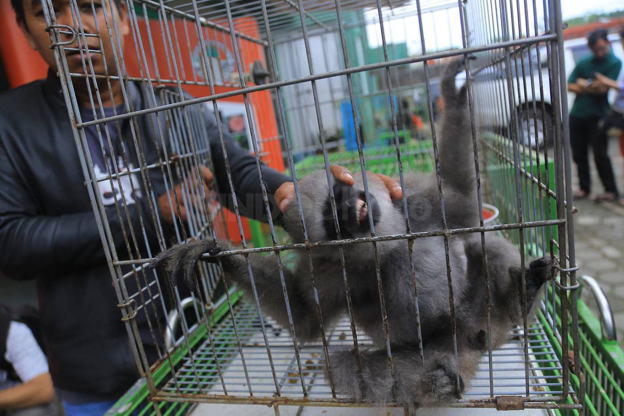 BBKSDA Jabar Serahkan...