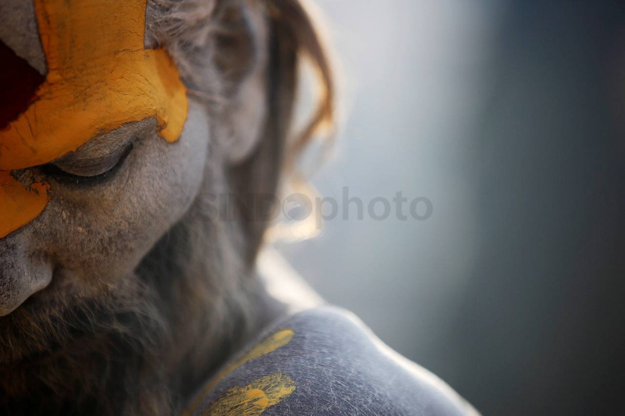 Festival Shivaratri...