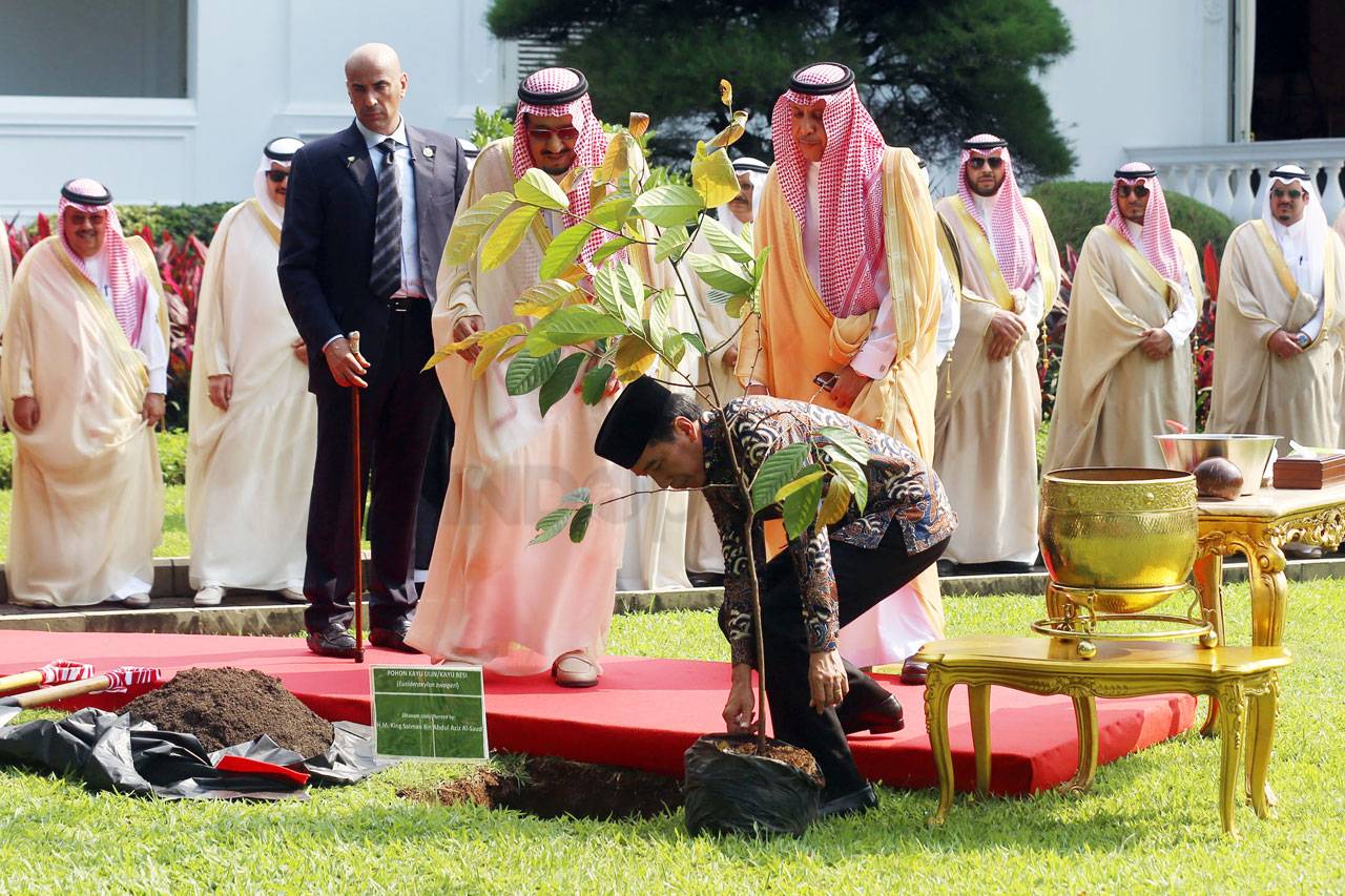 Raja Salman Tanam Pohon...