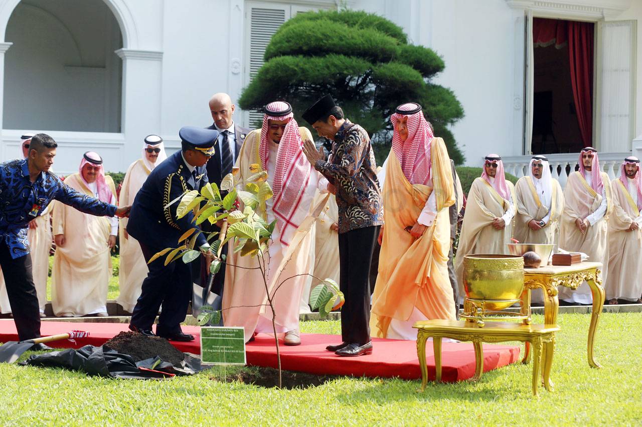 Raja Salman Tanam Pohon...