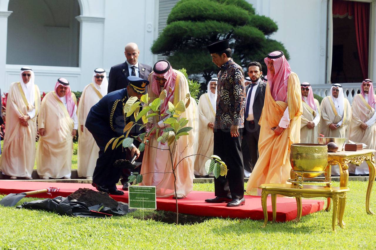Raja Salman Tanam Pohon...