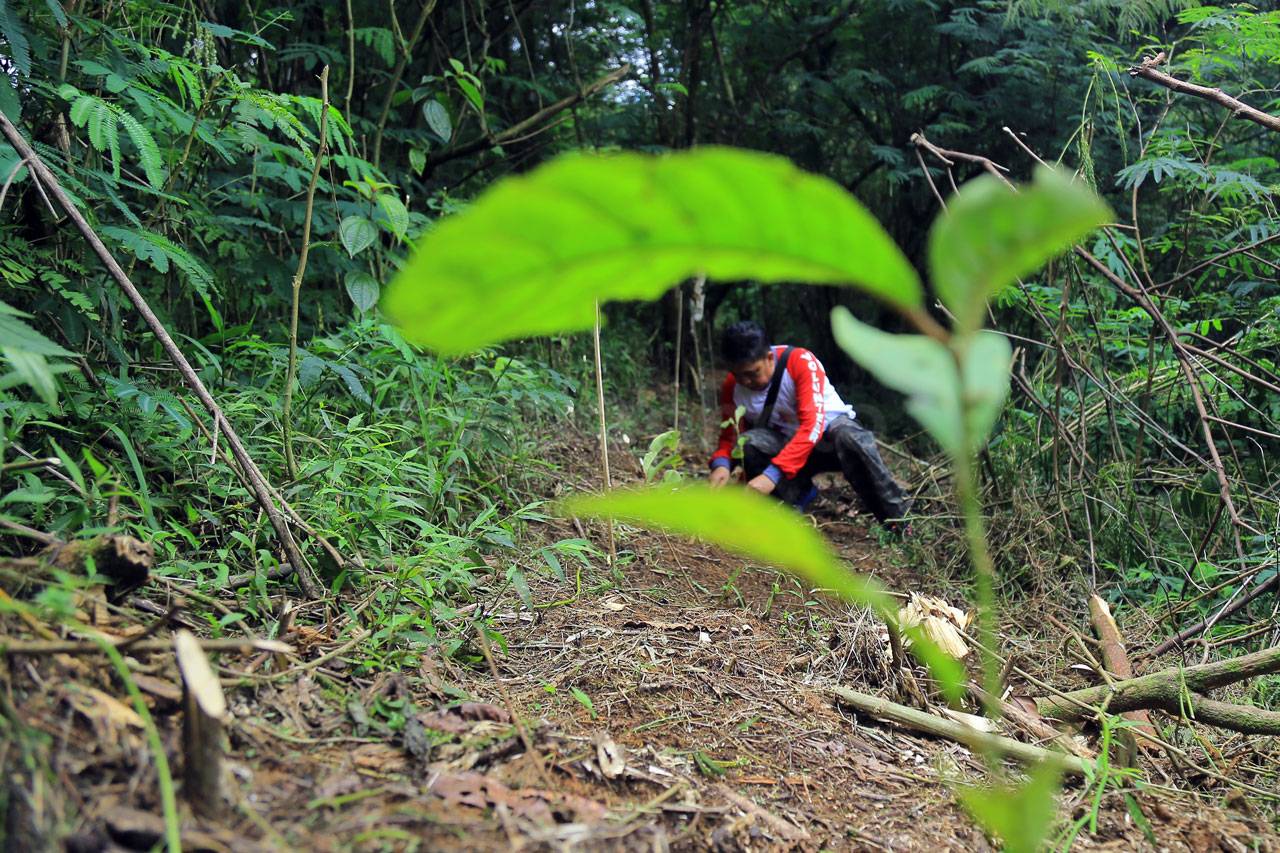Rayakan HUT Ke-17, Sekar...