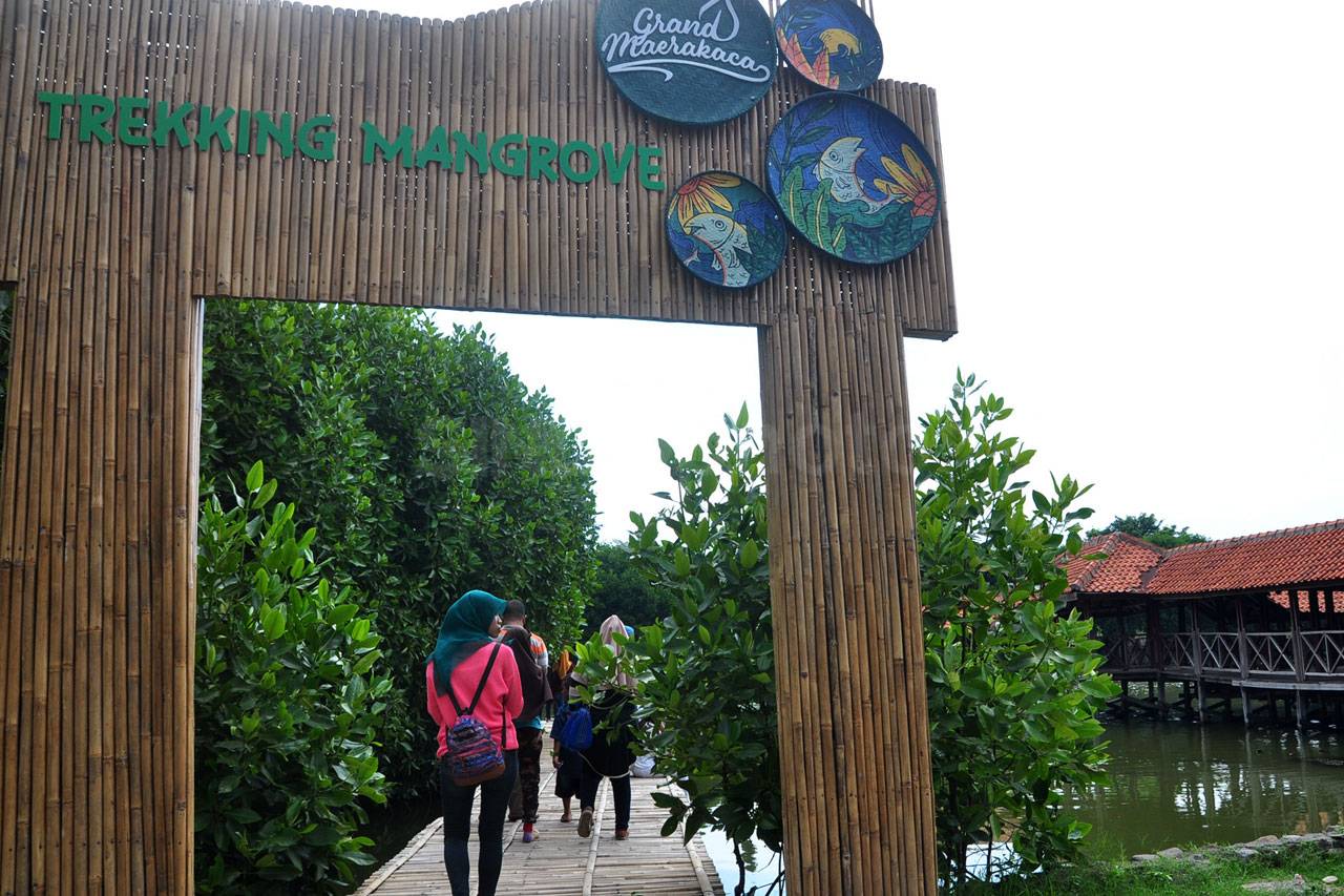 Menikmati Tracking Mangrove...