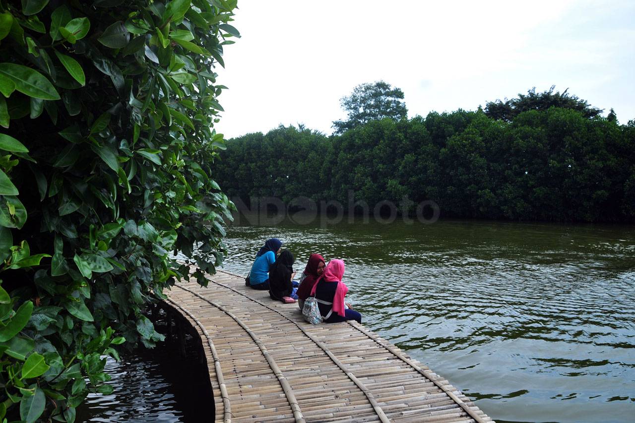 Menikmati Tracking Mangrove...