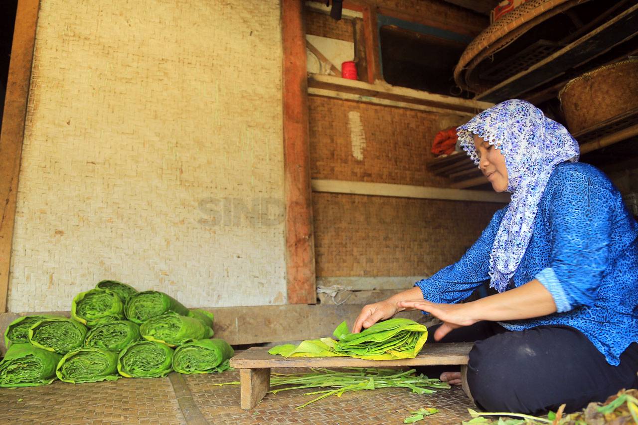 Menikmati Hamparan Tembakau...