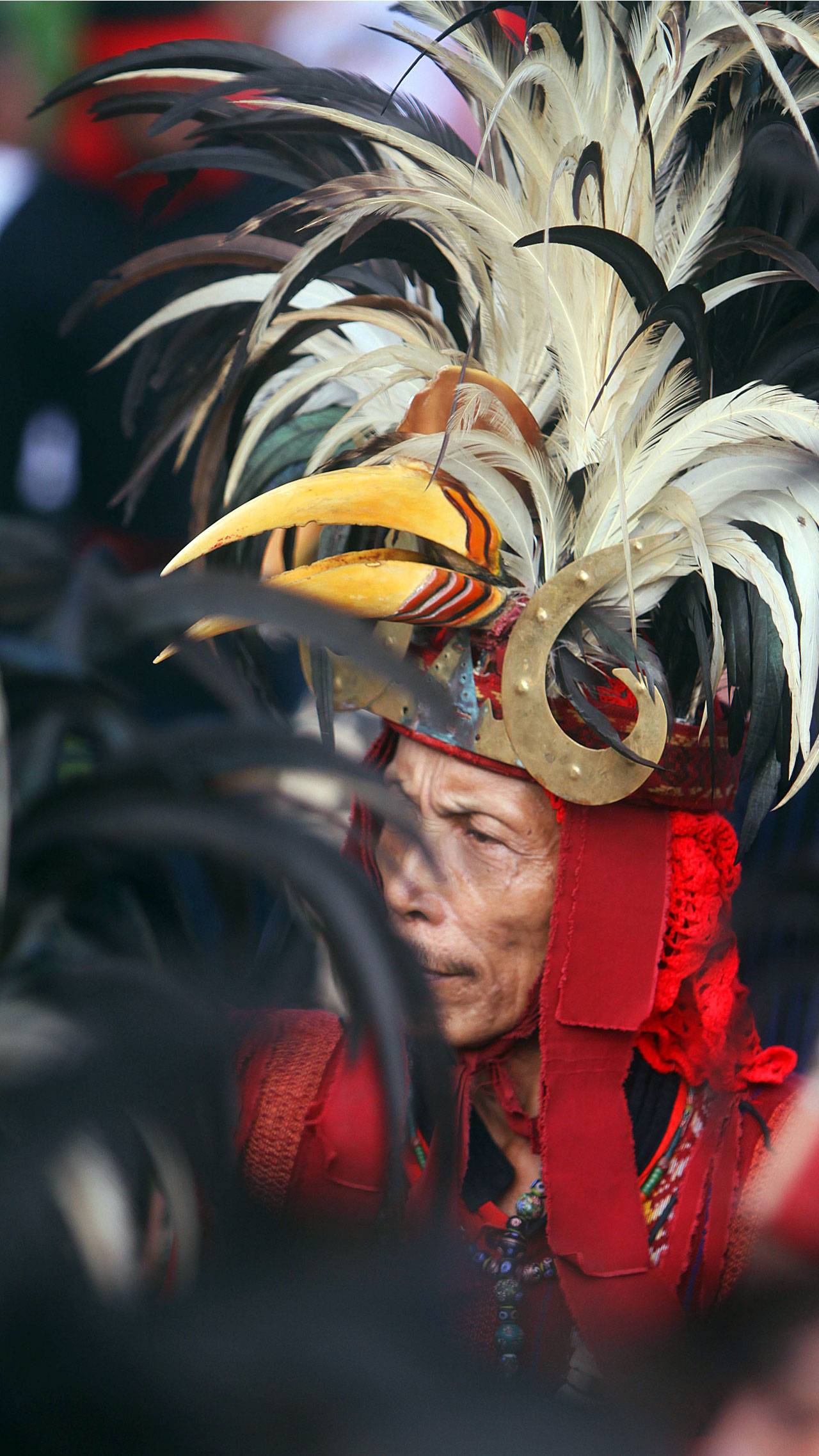 Kemeriahan Karnaval...