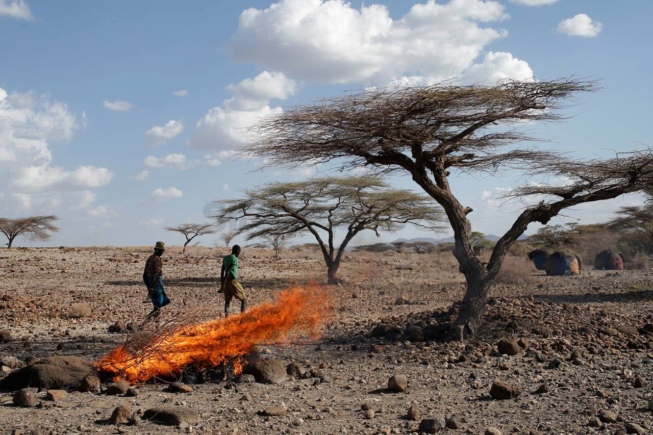 Musim Kering Terburuk...