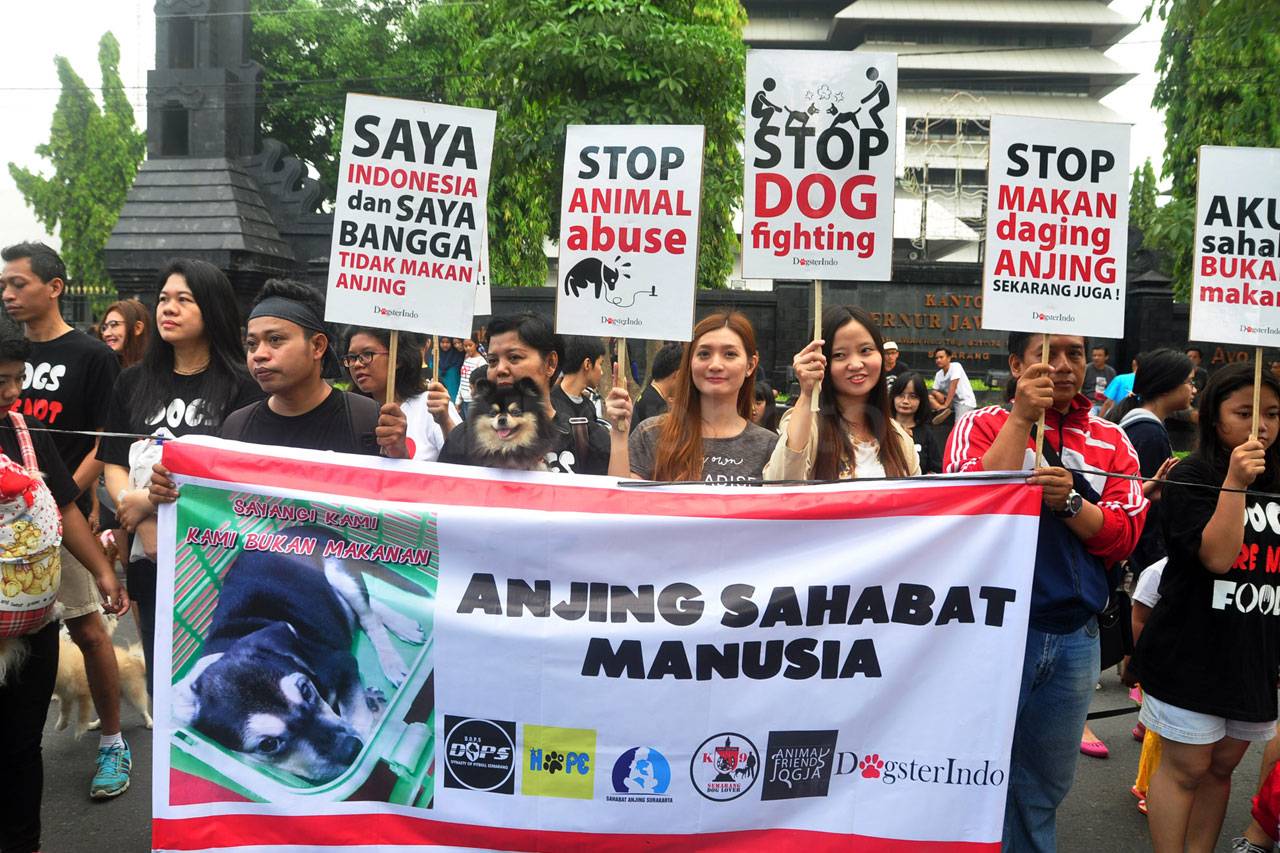 Aksi Stop Aniaya dan...
