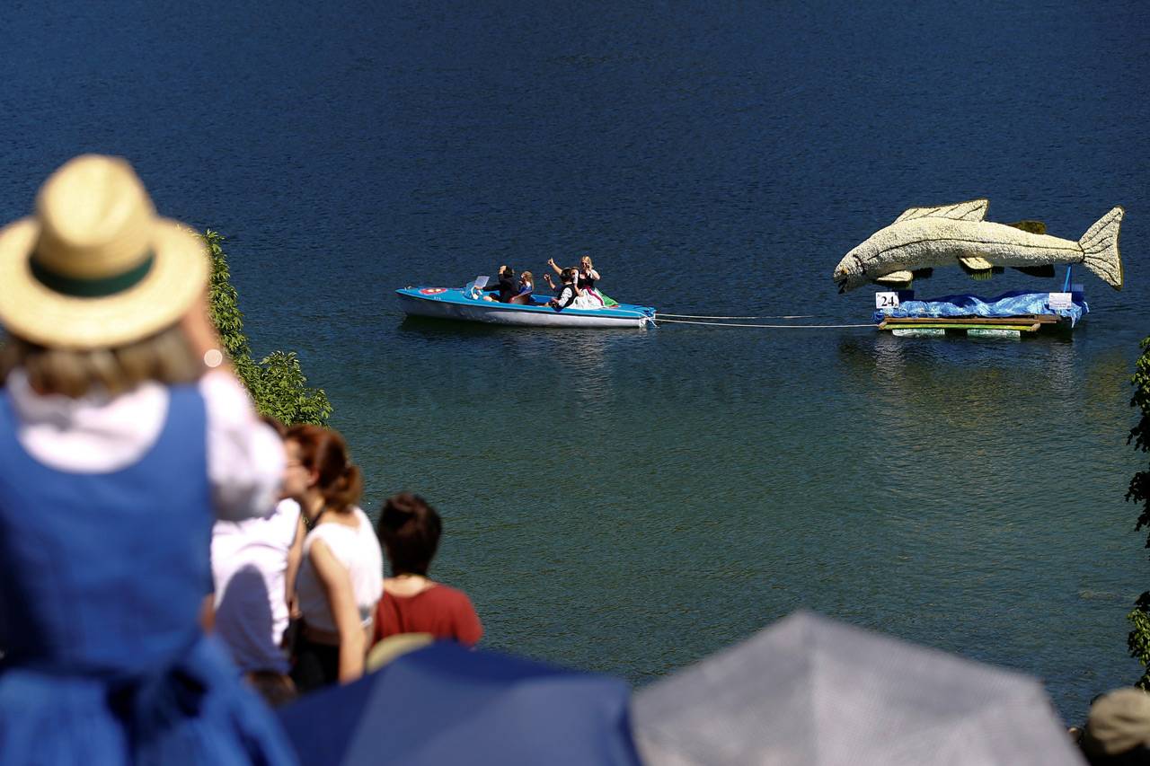Festival Daffodil di...