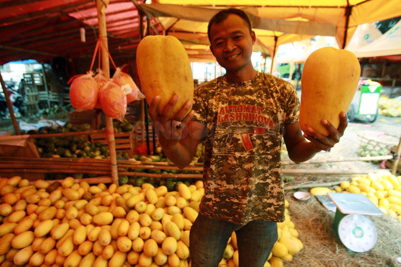 Penjualan Timun Suri...