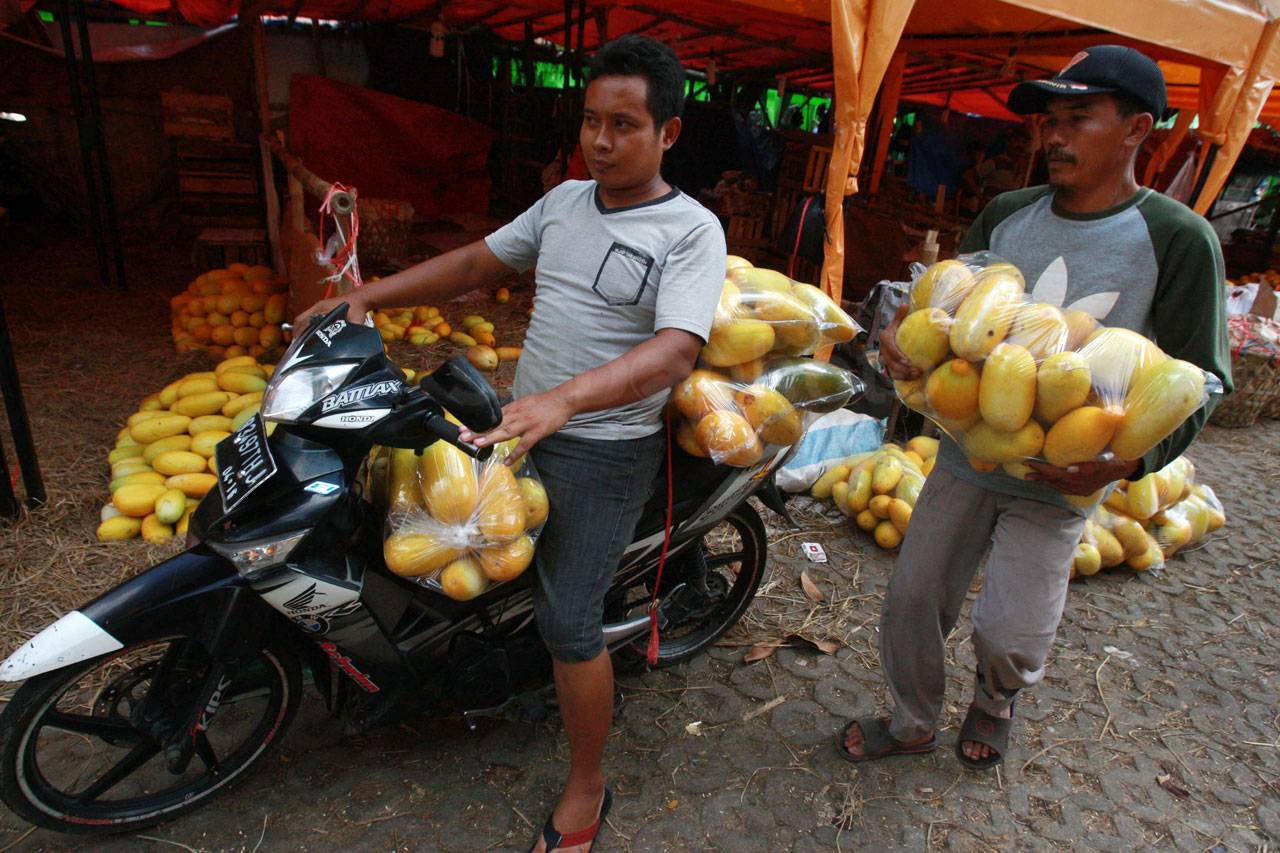 Penjualan Timun Suri...