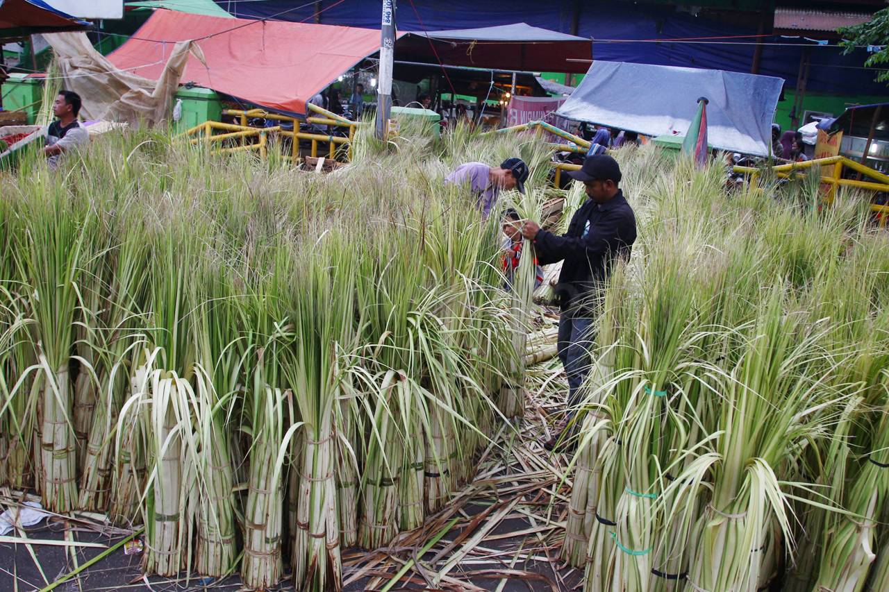 Kulit Ketupat Mulai...