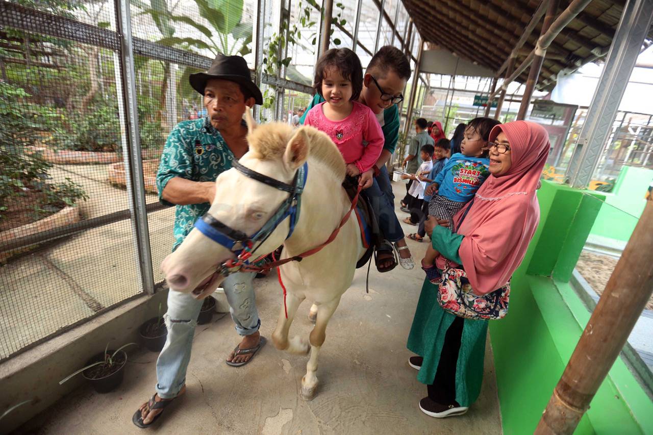 Serunya Liburan di Palembang...
