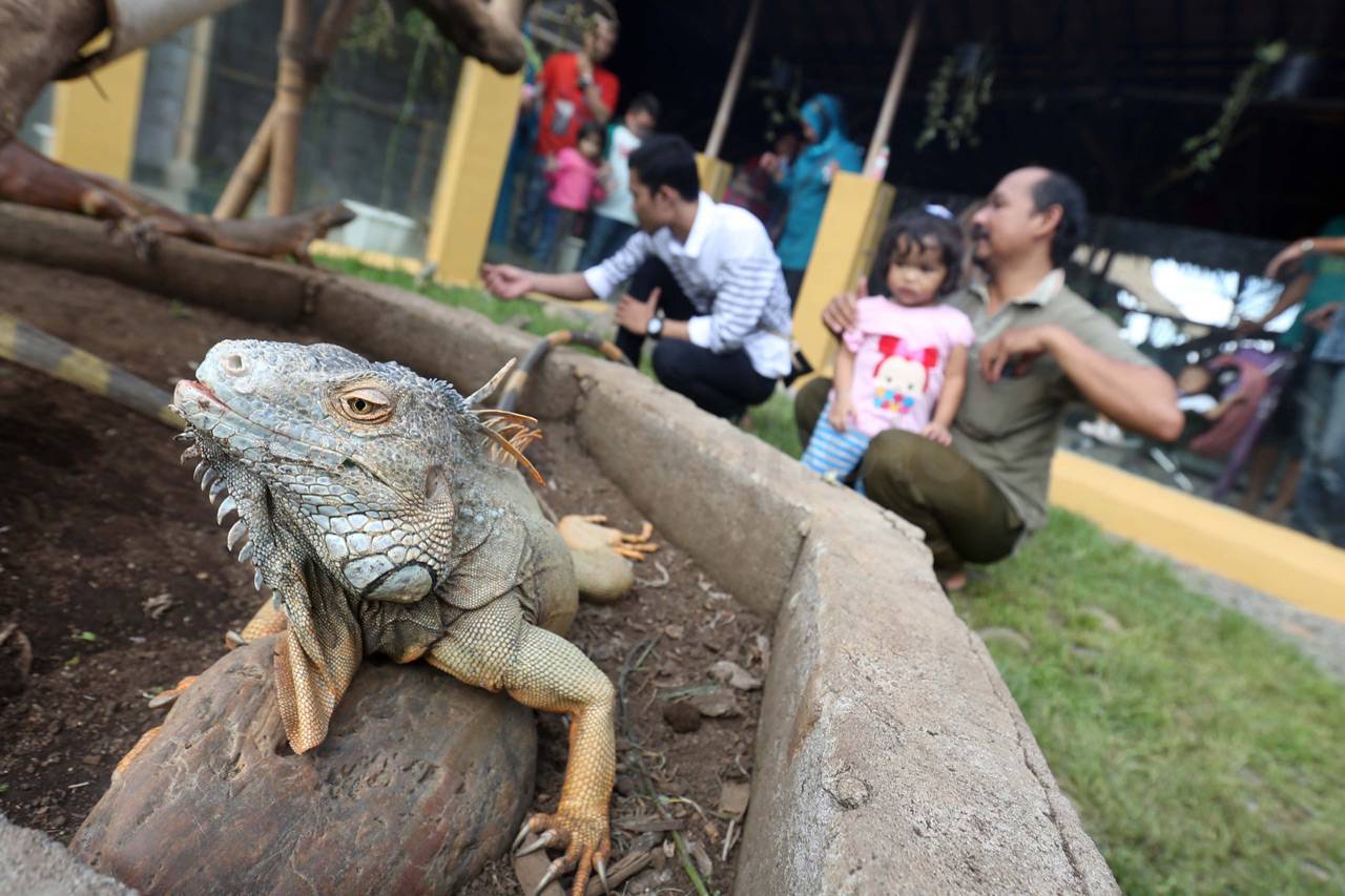 Serunya Liburan di Palembang...