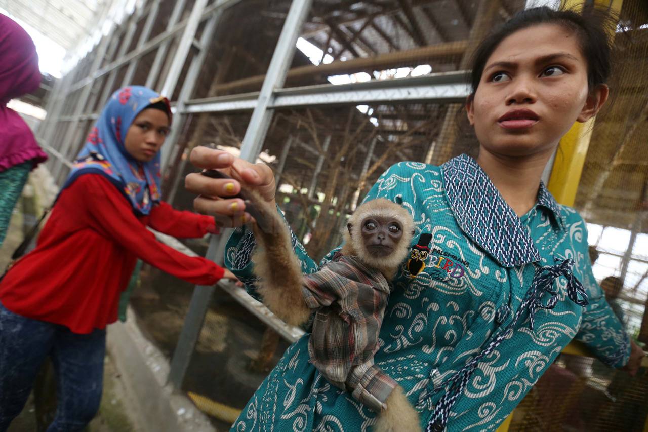 Serunya Liburan di Palembang...