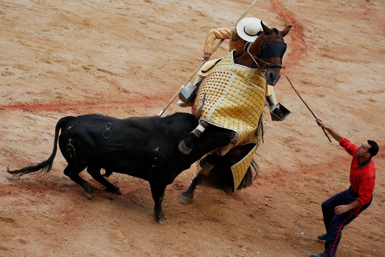 Menyedihkan, Banteng...