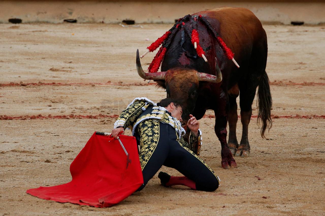 Menyedihkan, Banteng...
