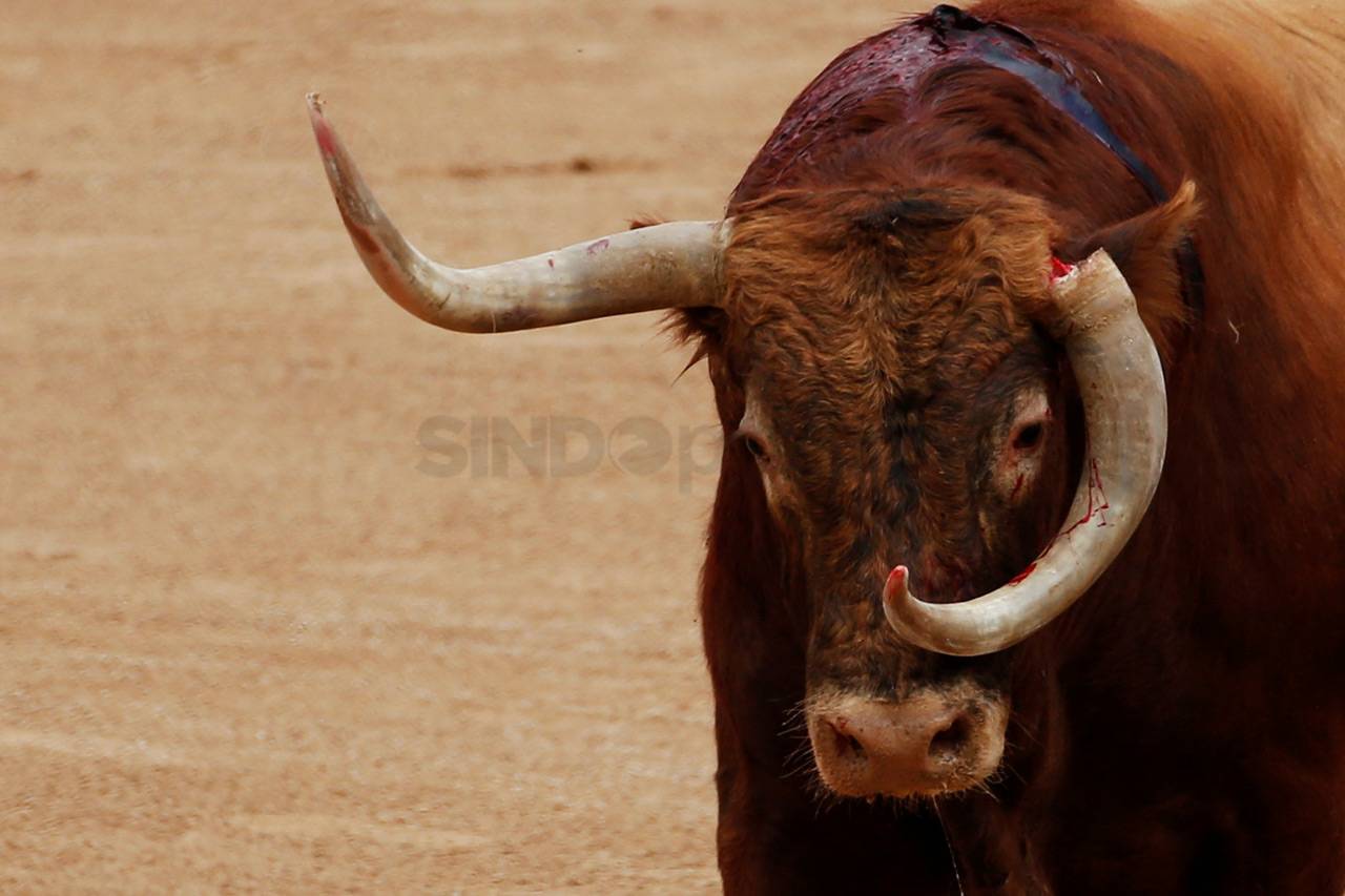 Menyedihkan, Banteng...
