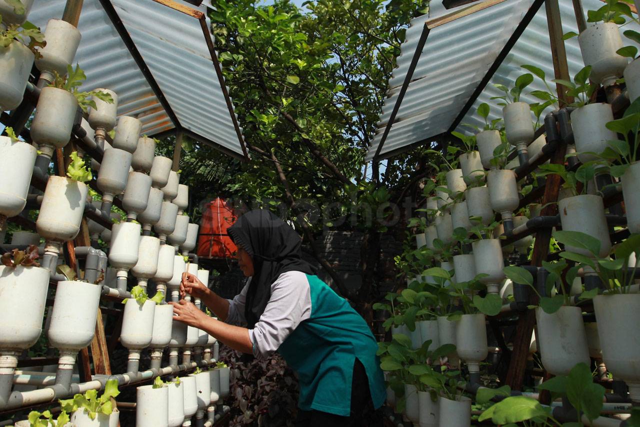 Bercocok Tanam Masyarakat...