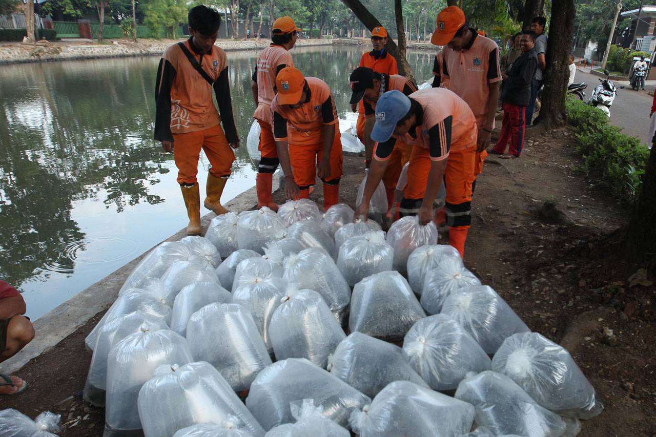 Pasukan Orange Tabur...