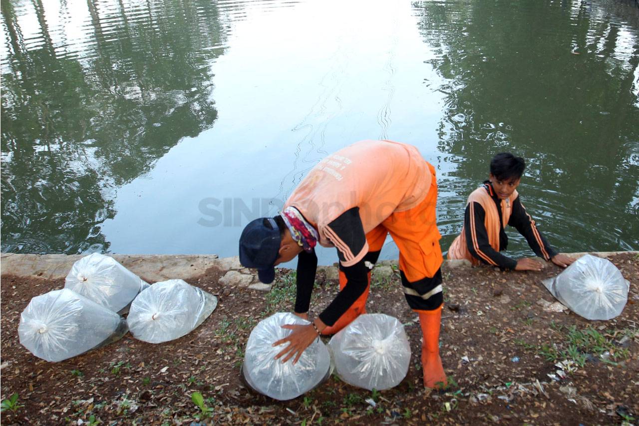 Pasukan Orange Tabur...