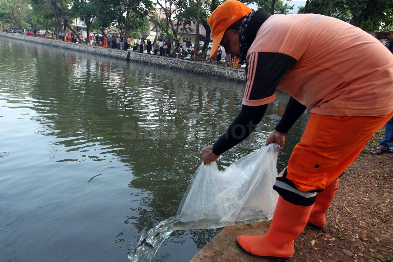 Pasukan Orange Tabur...