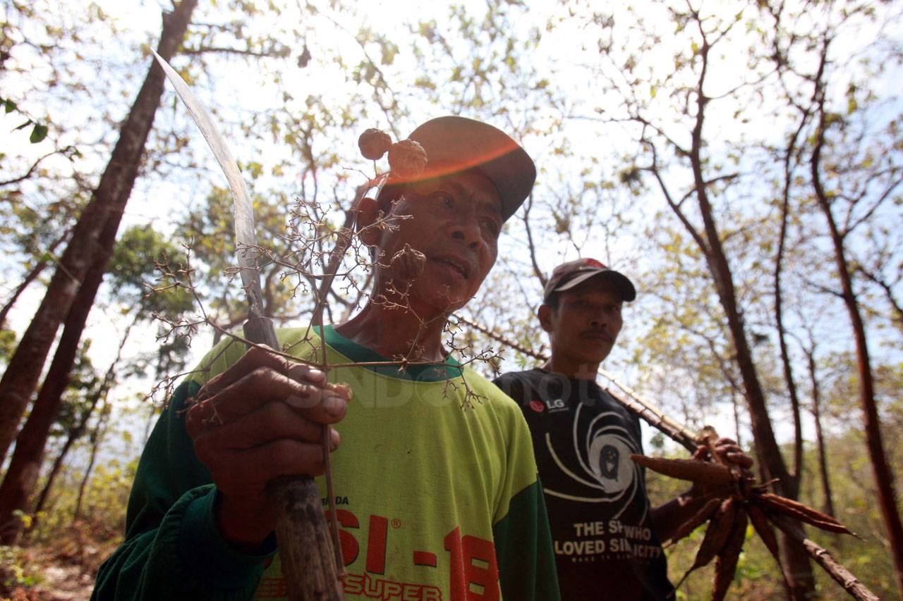Pemberdayaan Kelompok...