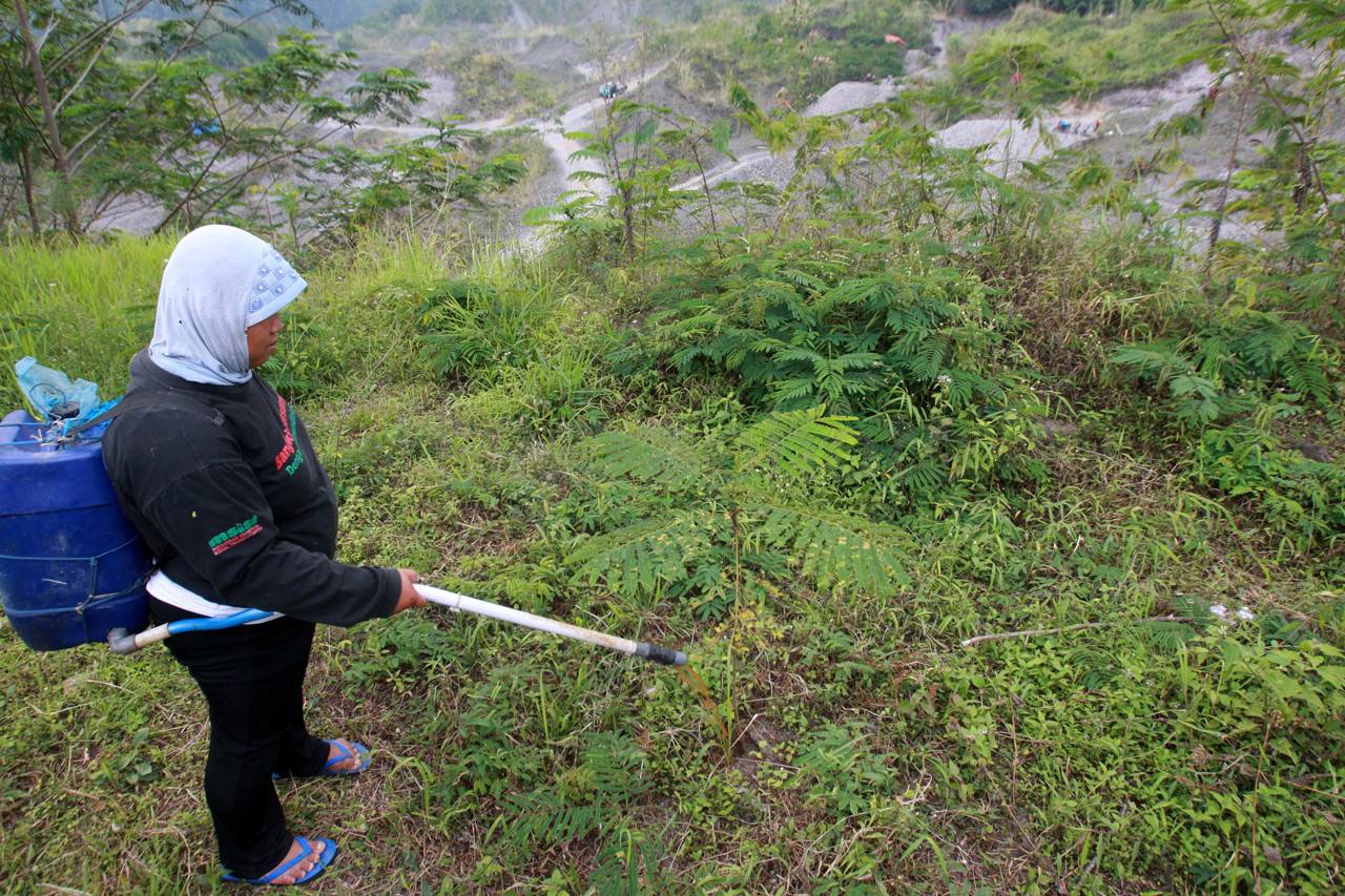 Menghijaukan Lahan Bekas...