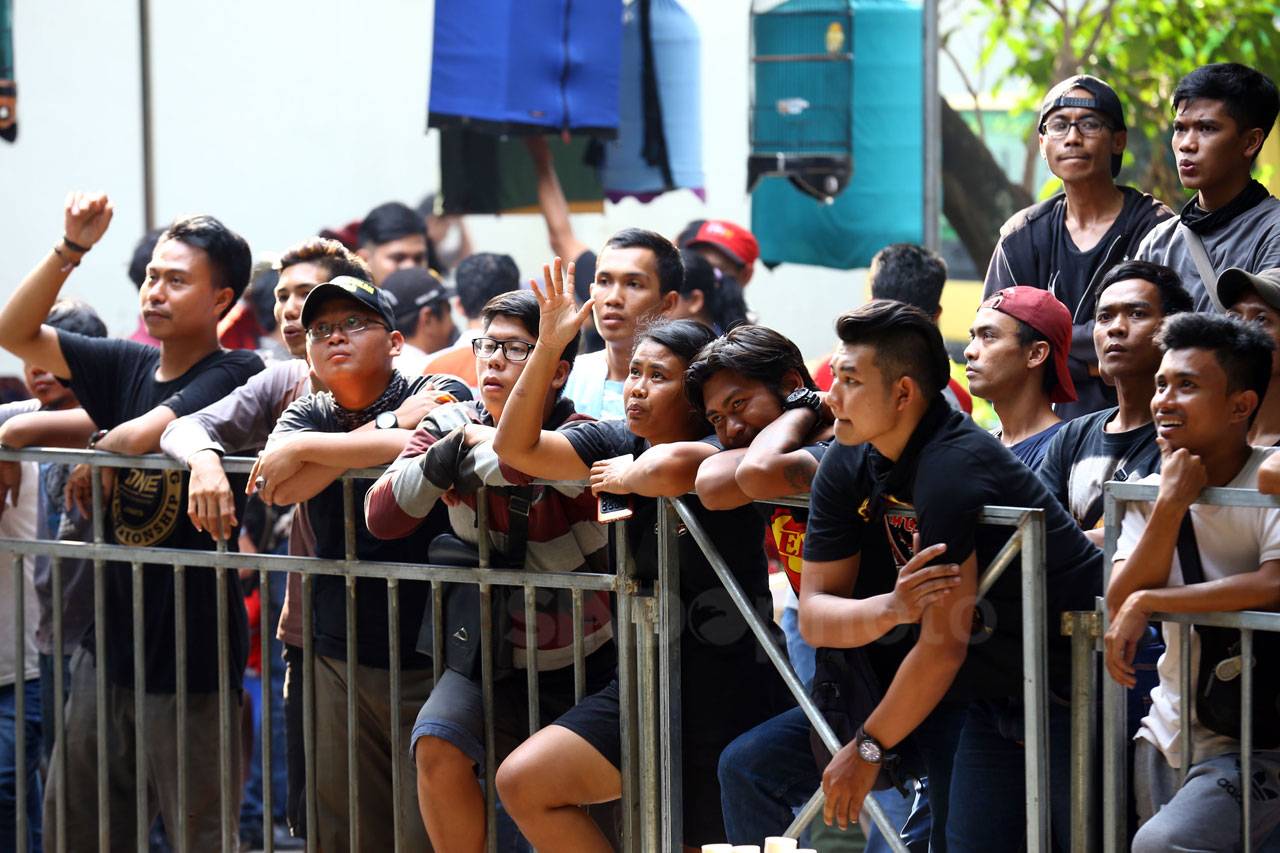 Kontes Burung Partai...