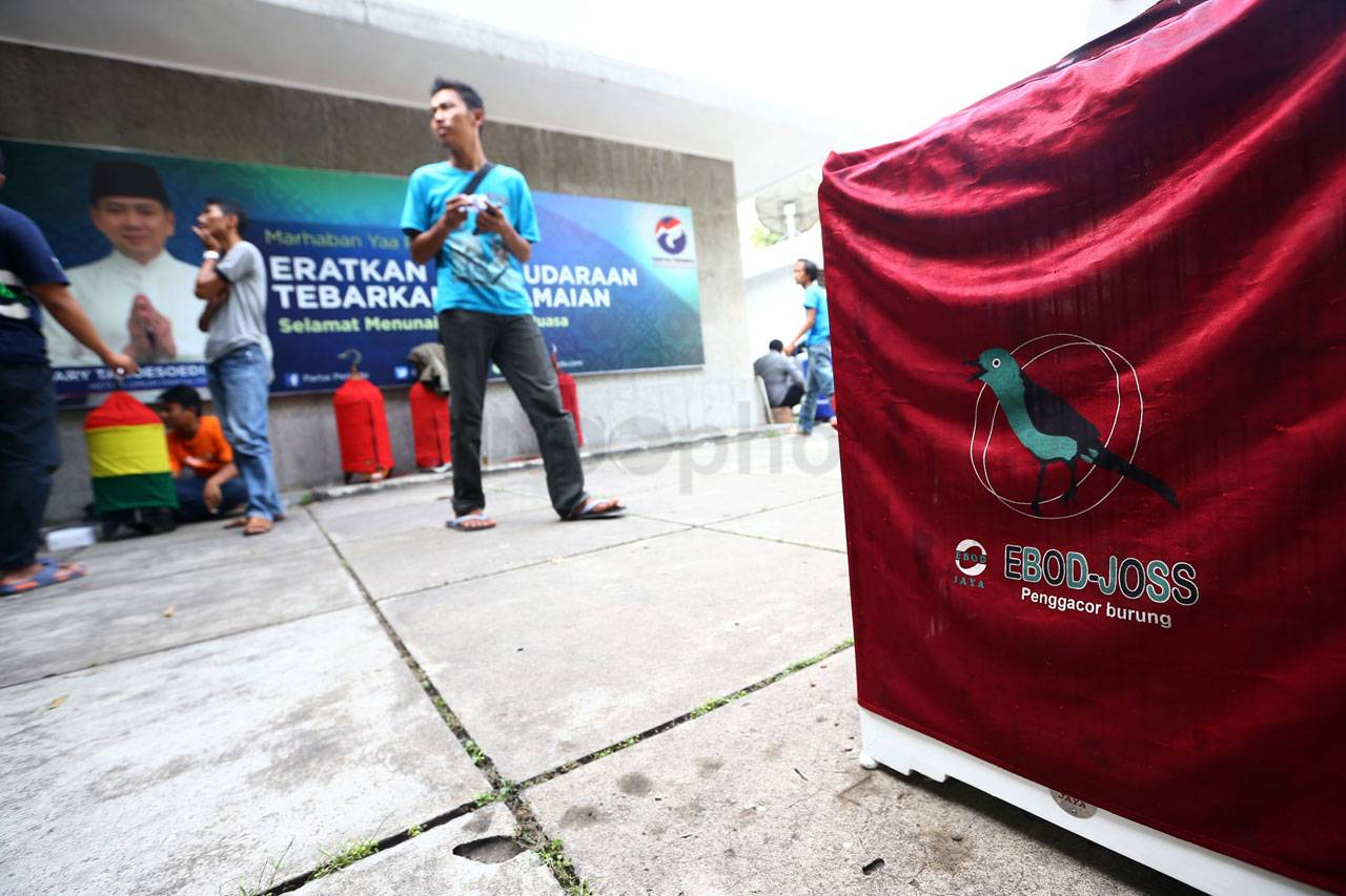 Kontes Burung Partai...