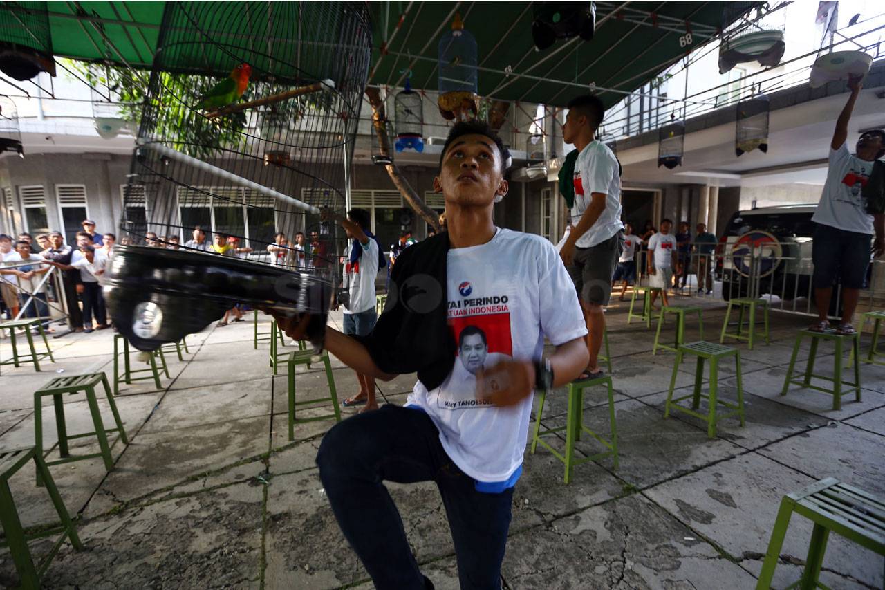 Kontes Burung Partai...