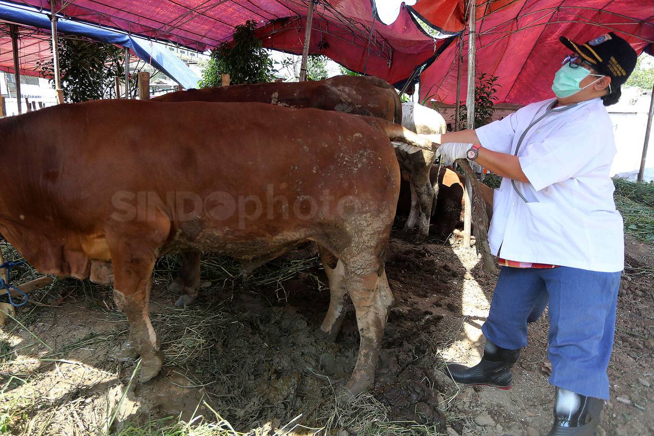 Jelang Idul Adha, Sudin...
