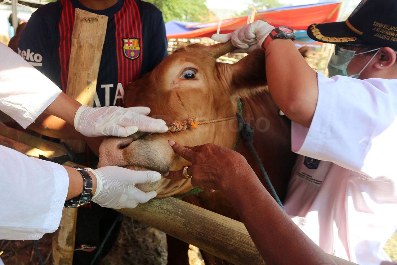 Jelang Idul Adha, Sudin...