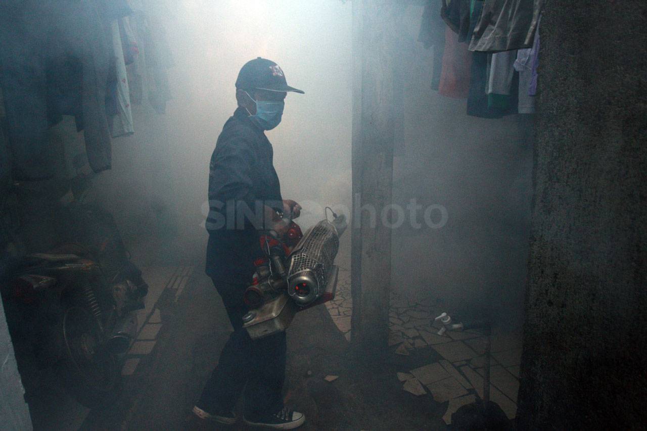 Cegah Wabah DBD, Puskesmas...