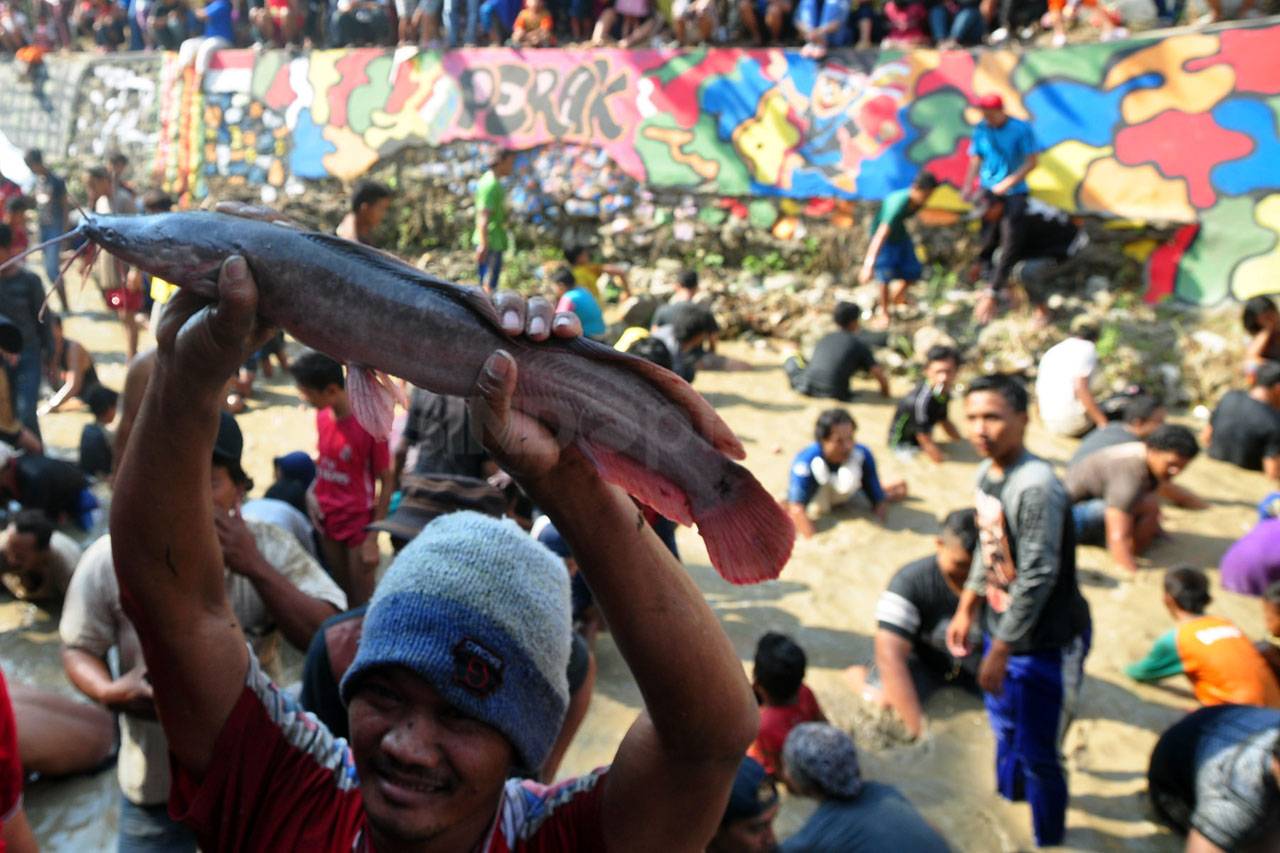Berebut Menangkap Lele...