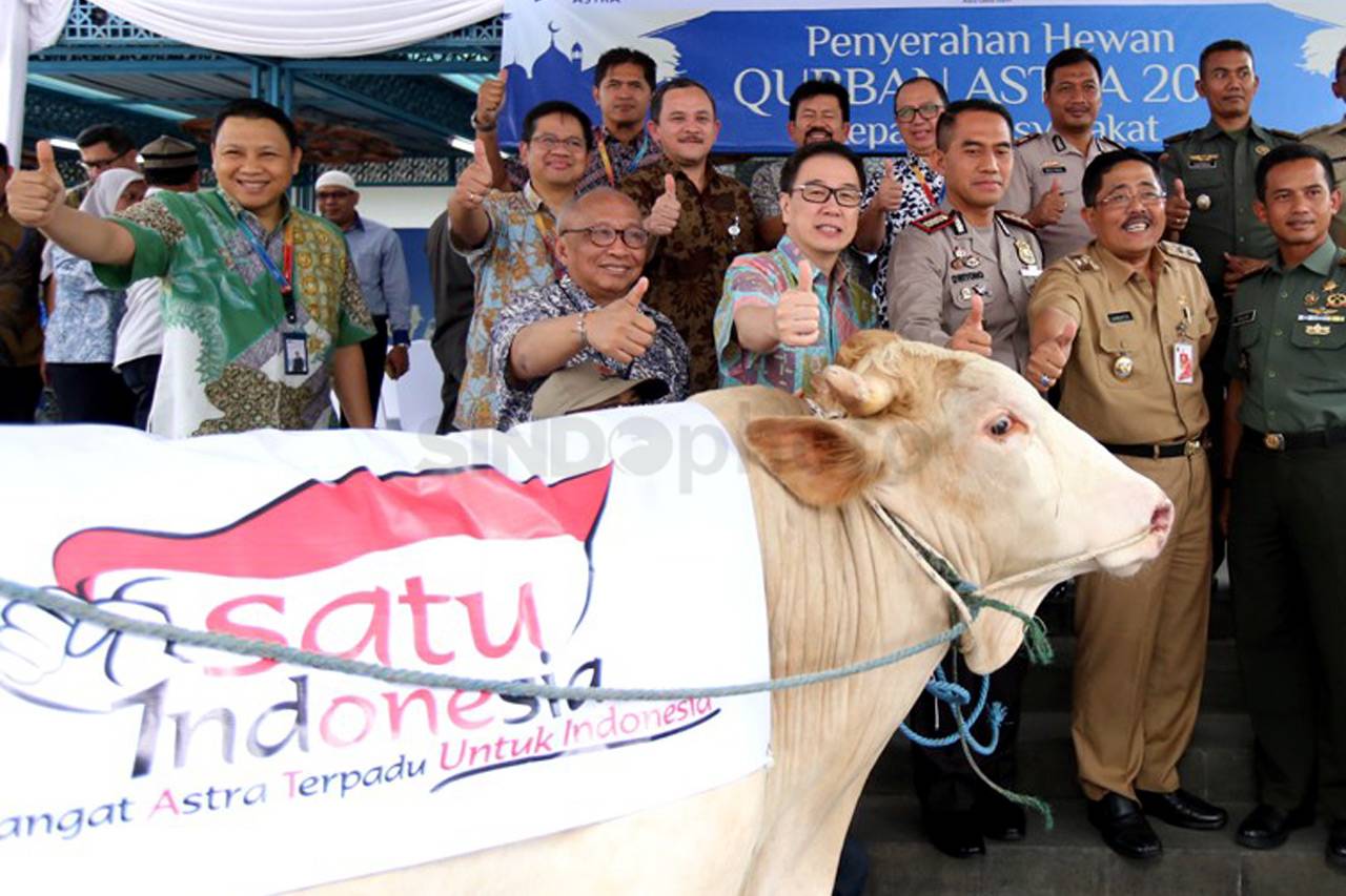 Sumbangan Hewan Kurban...