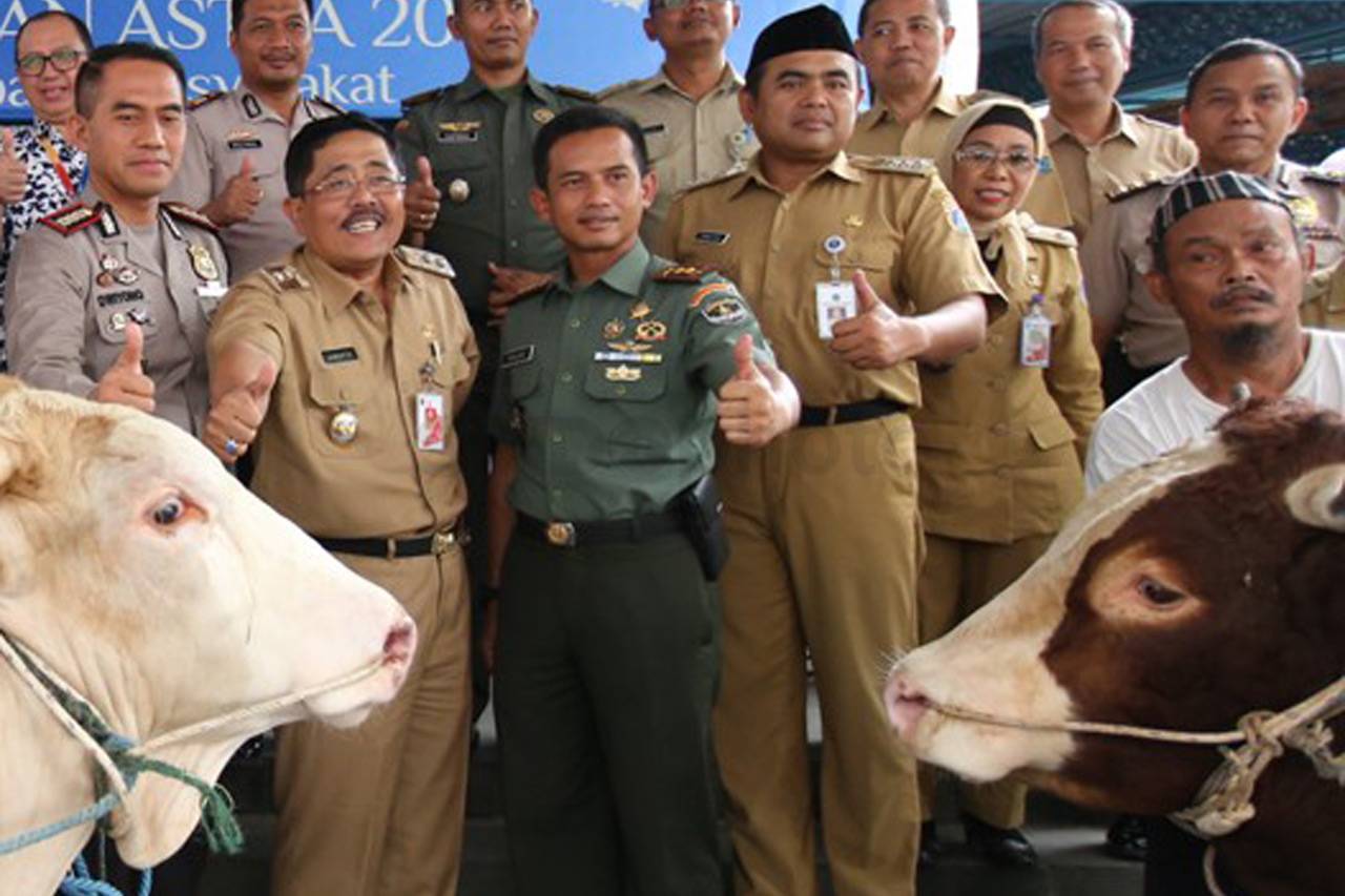 Sumbangan Hewan Kurban...